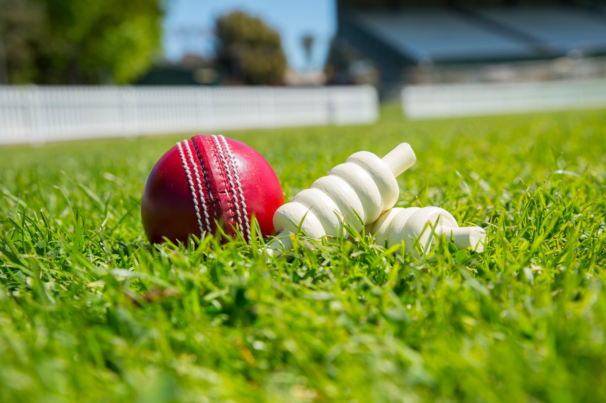 Cricket  Ball and Wicket