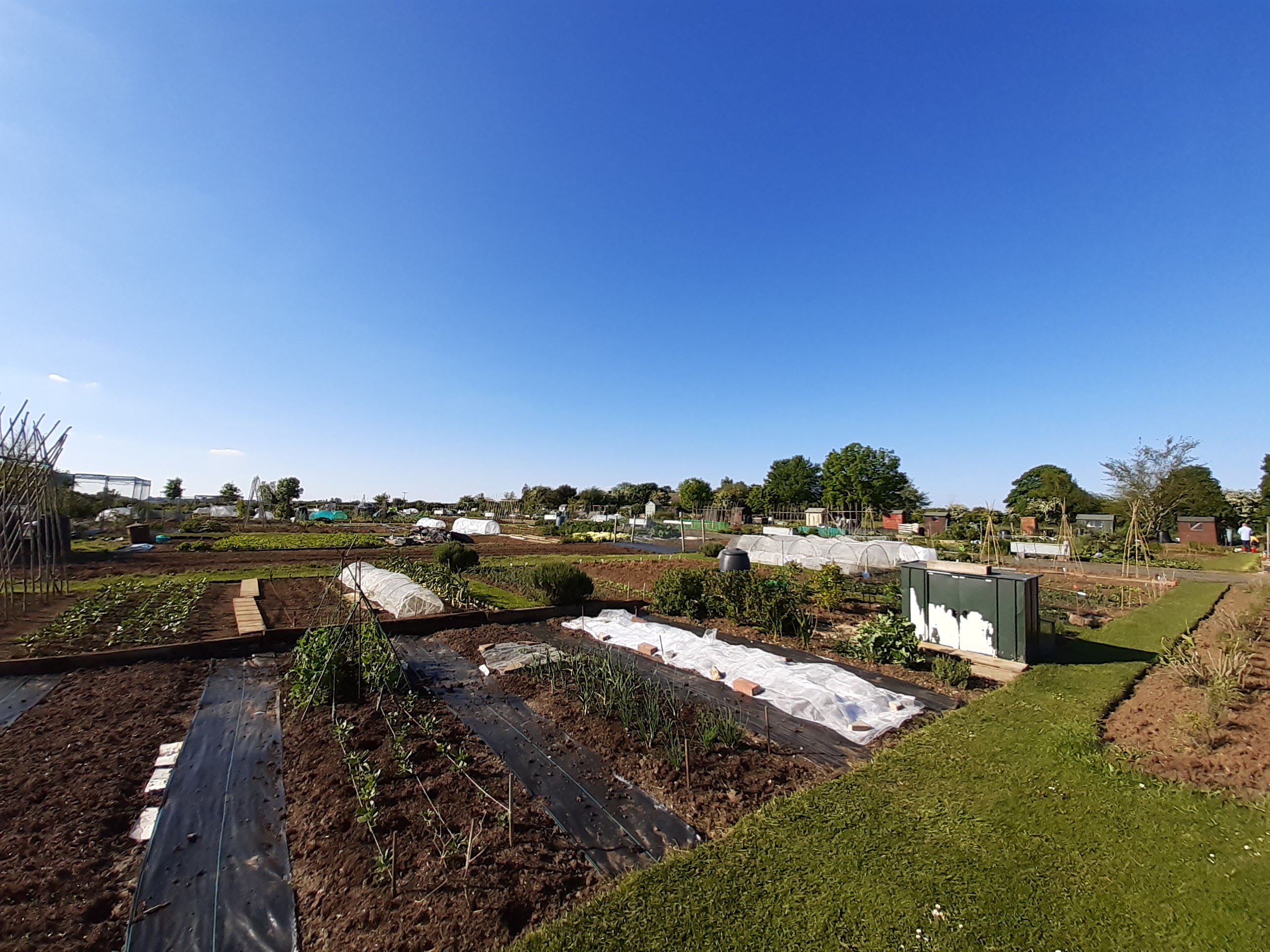 allotments